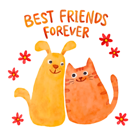 obrázky bff