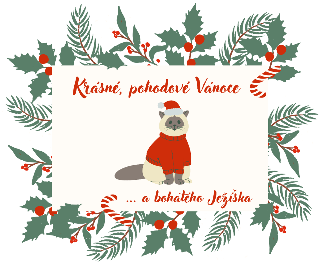 vánoční přání obrázky s textem
