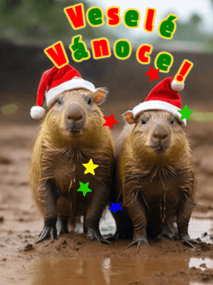 vánoční přání obrázky gif