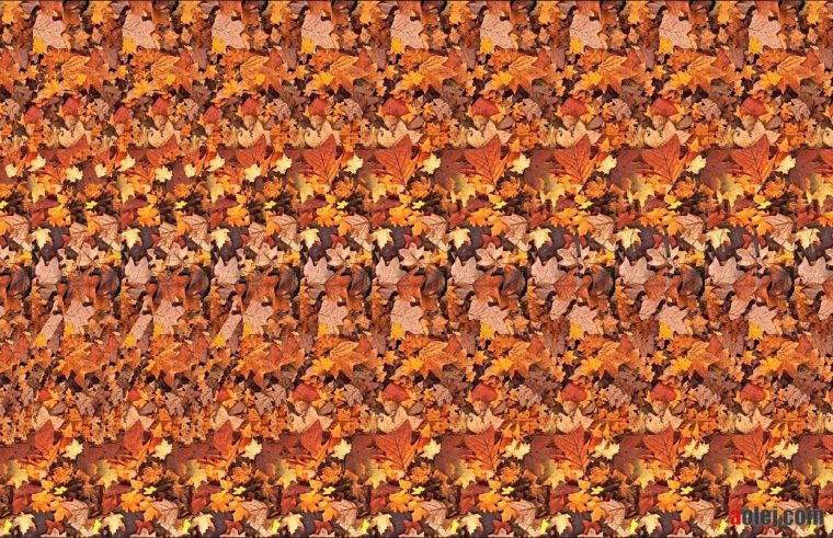 stereogram