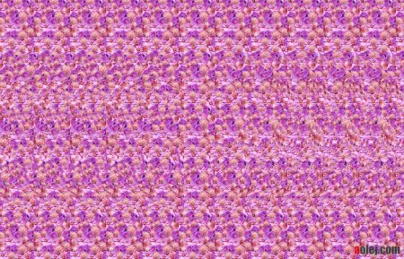 stereogram