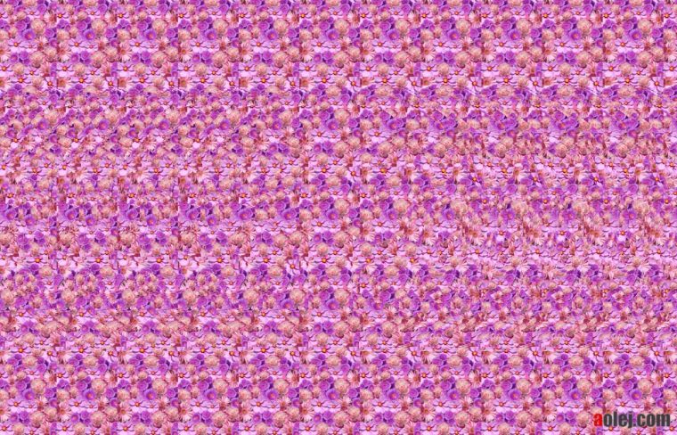 stereogram