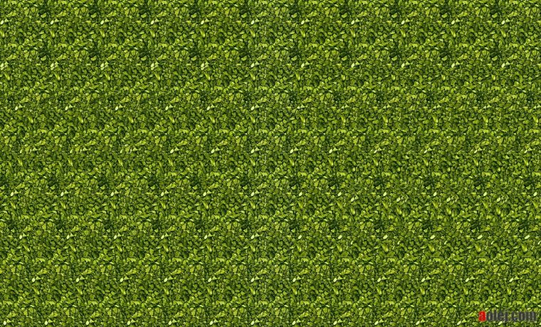 stereogram