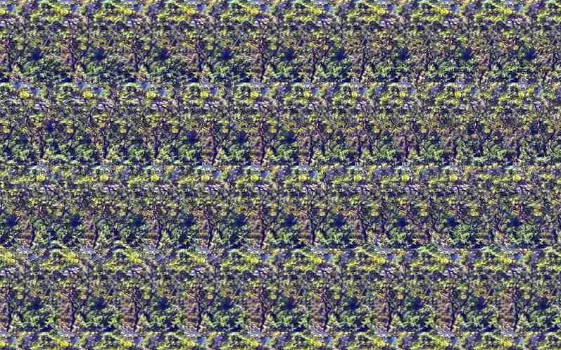 stereogram pro začátečníky