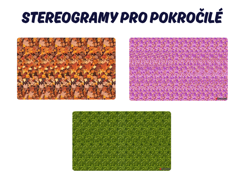stereogramy