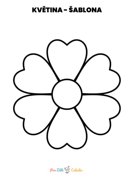 květina šablona