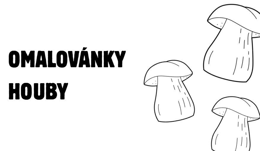 omalovánky houby