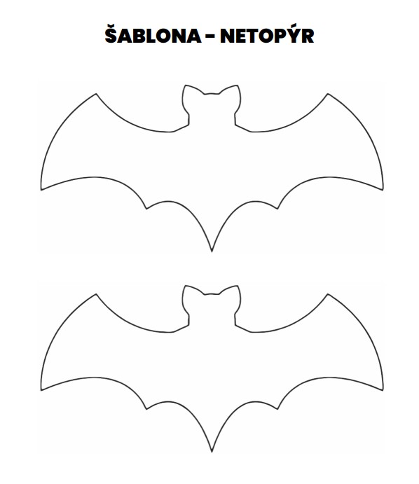 šablona netopýr
