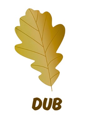 dub list