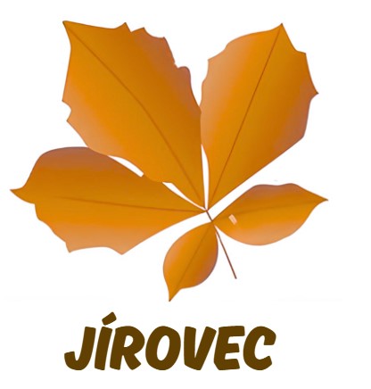 jírovec (kaštan) list