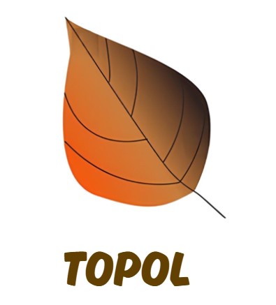 topol list