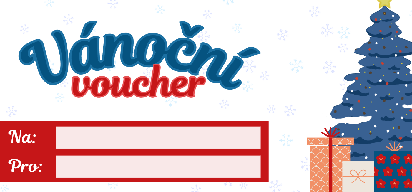 vánoční voucher vzor