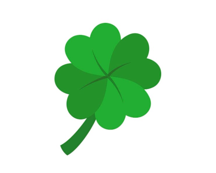 čtyřlístek obrázek