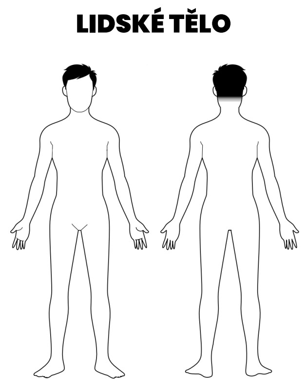lidské tělo omalovánky