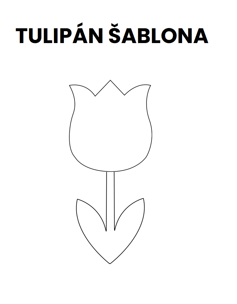 tulipán šablona