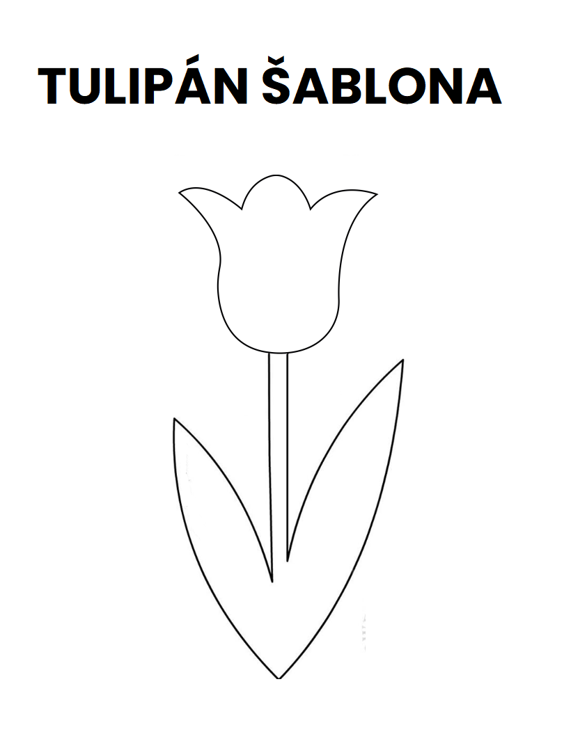 tulipán šablona