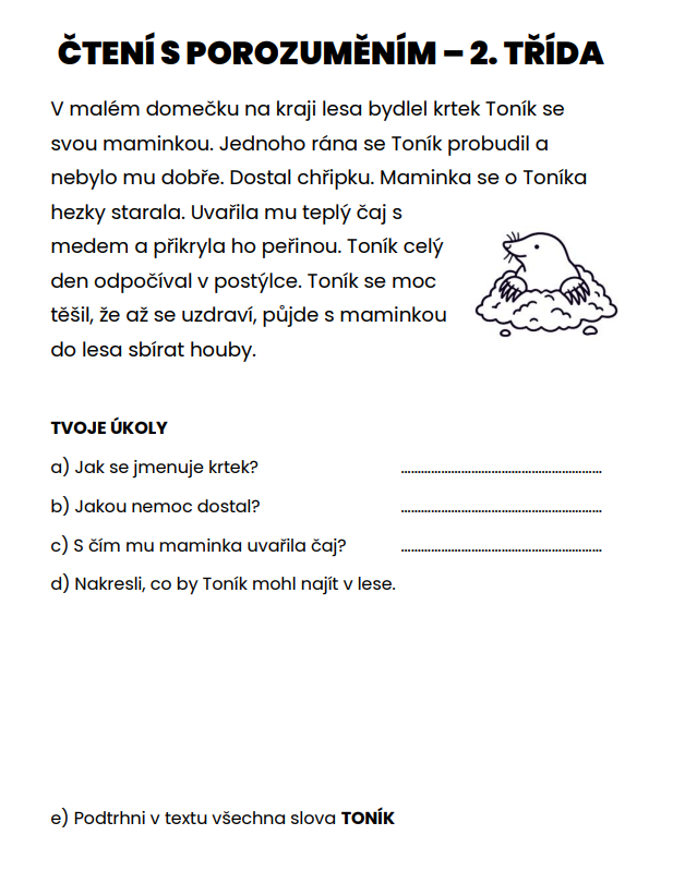 čtení s porozuměním 2. třída