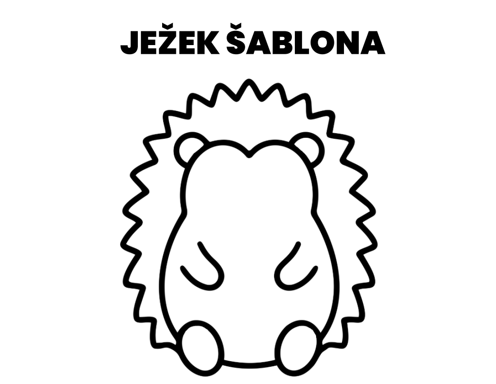ježek šablona