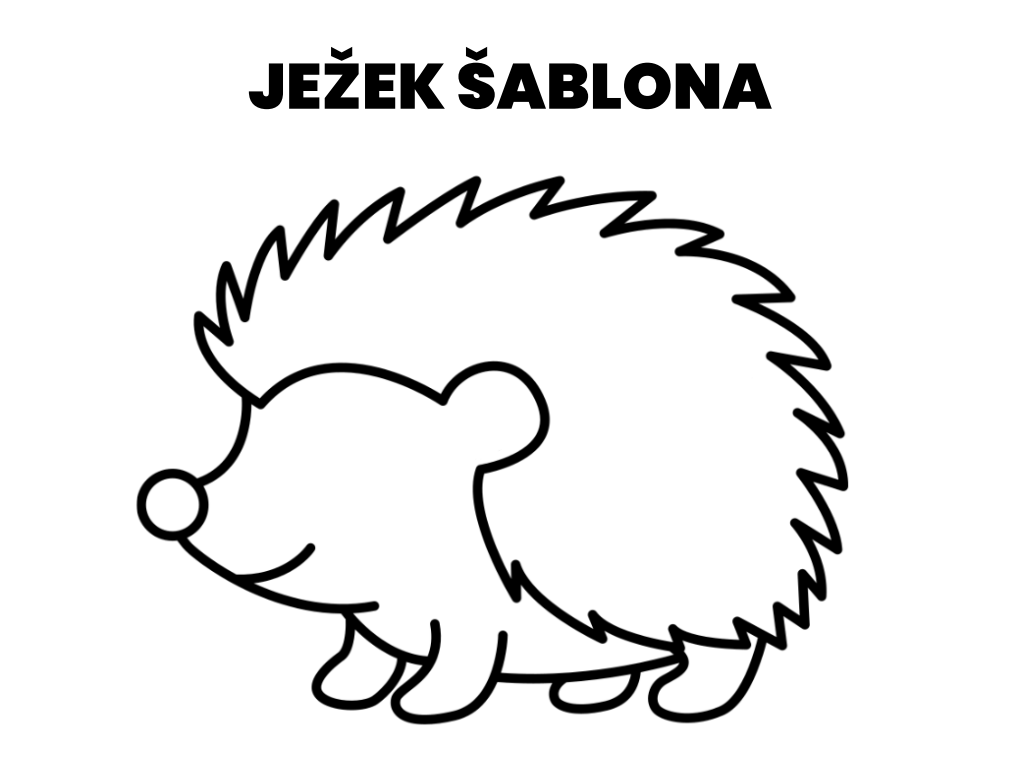 ježek šablona