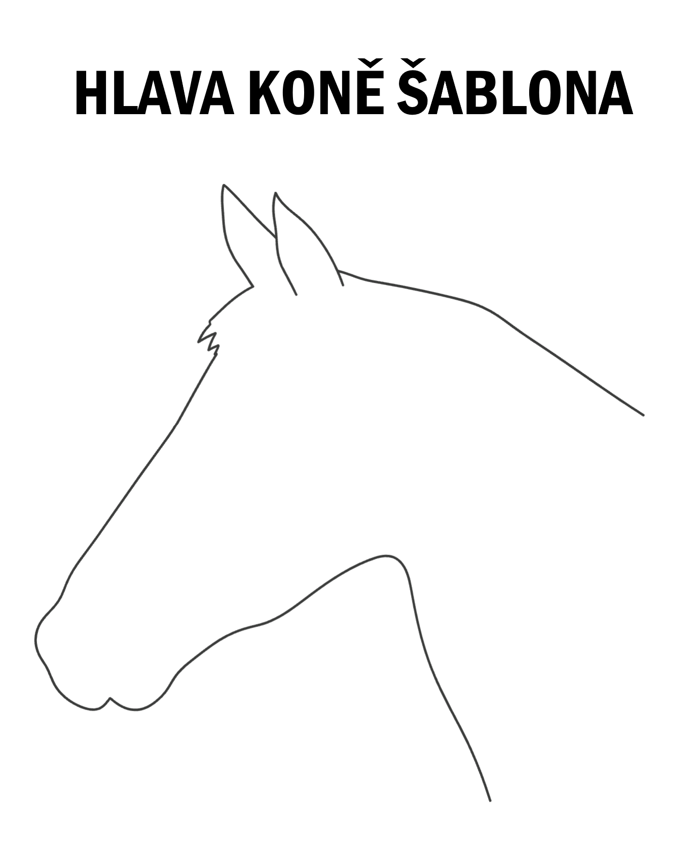 hlava koně šablona