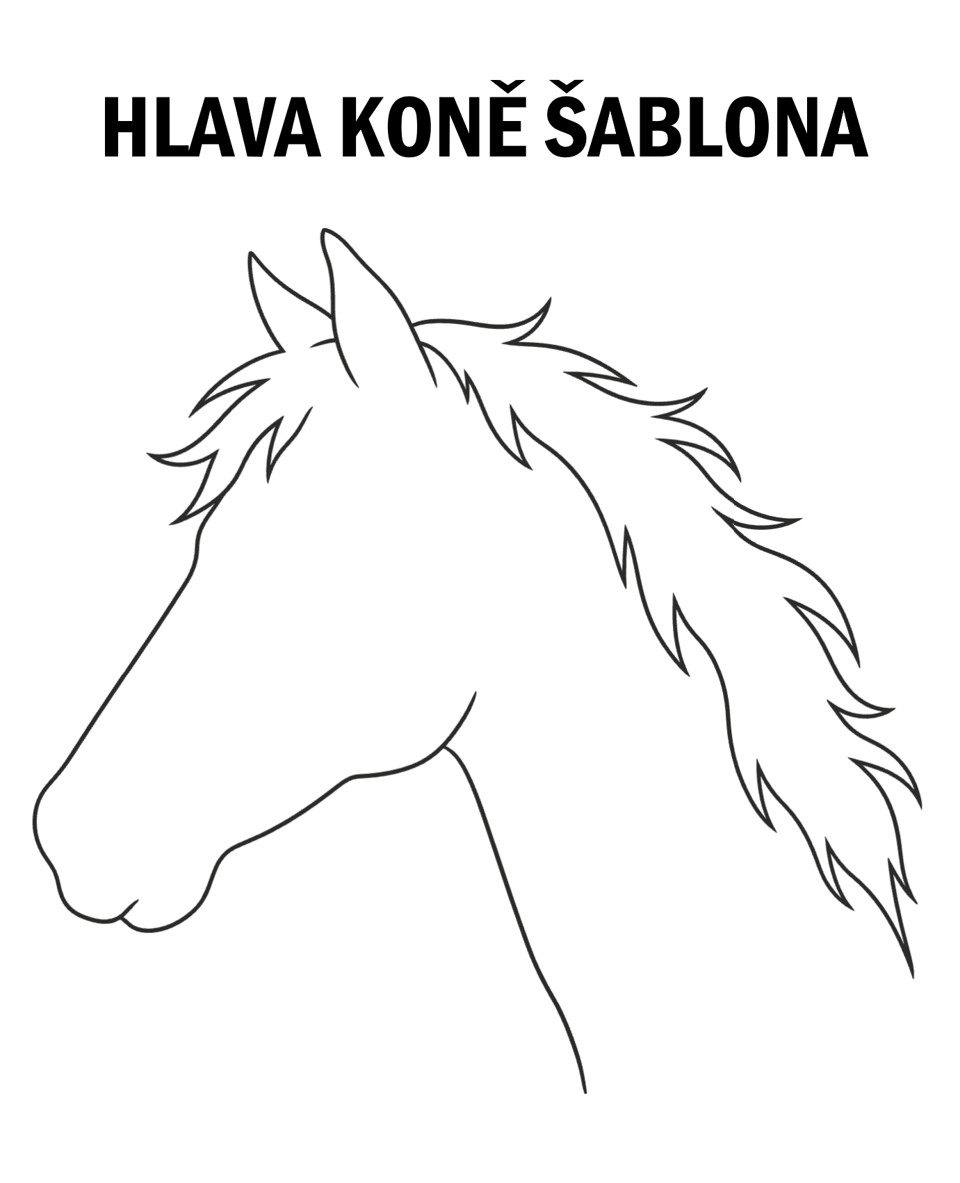 hlava koně šablona